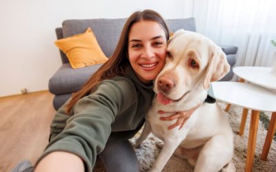 Choosing the Right Pet Care Option: A Complete Guide to Sitters, Apps, Daycares, and Boarding