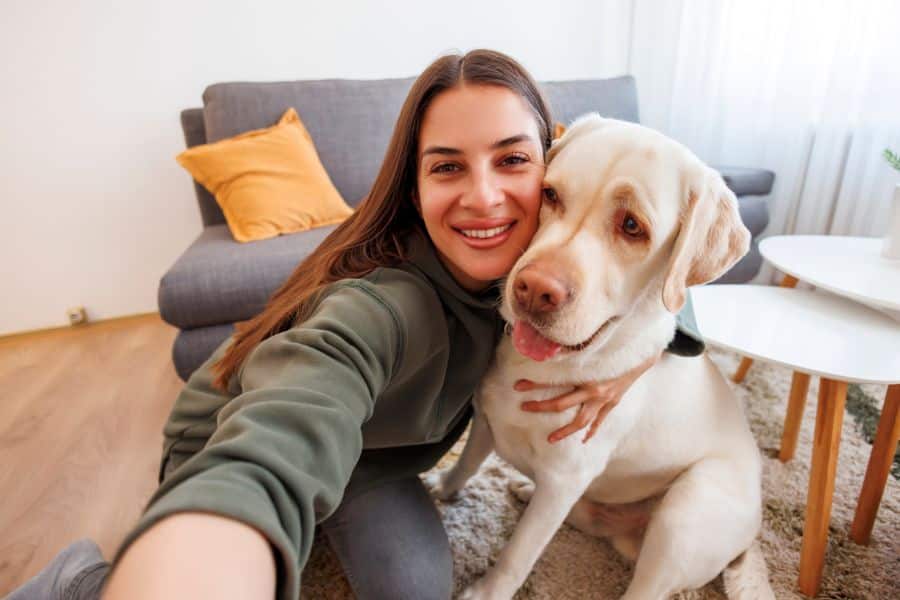 Choosing the Right Pet Care Option A Complete Guide to Sitters, Apps, Daycares, and Boarding
