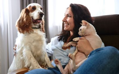 Traveling This Summer? Why Kenosha Pet Owners Choose Local Pet Sitters Over Boarding