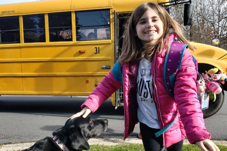 Back-to-School Pet Care: Managing Your Pet's Schedule When Your Routine Changes